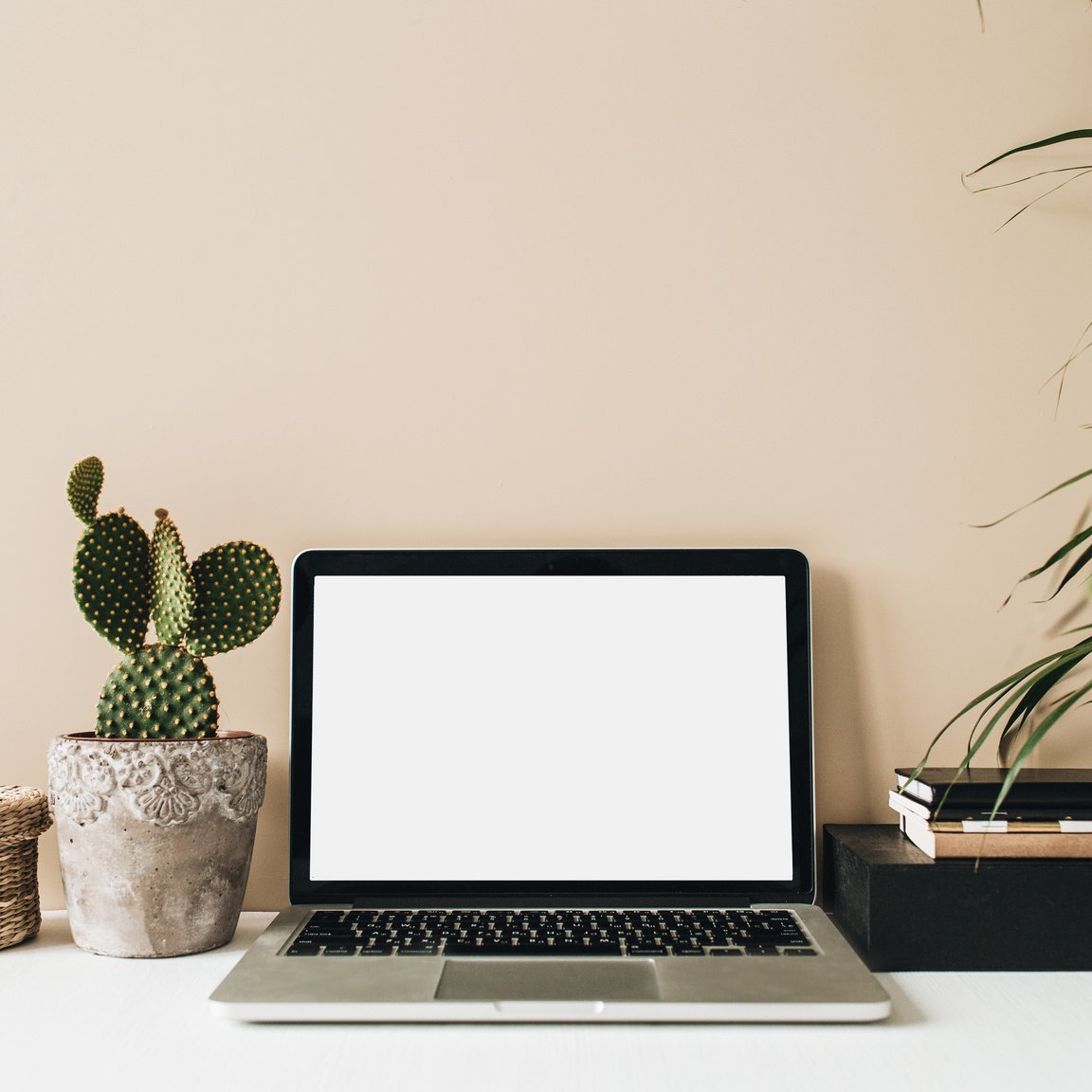 Desk with Laptop, Cactus and Stack of Books